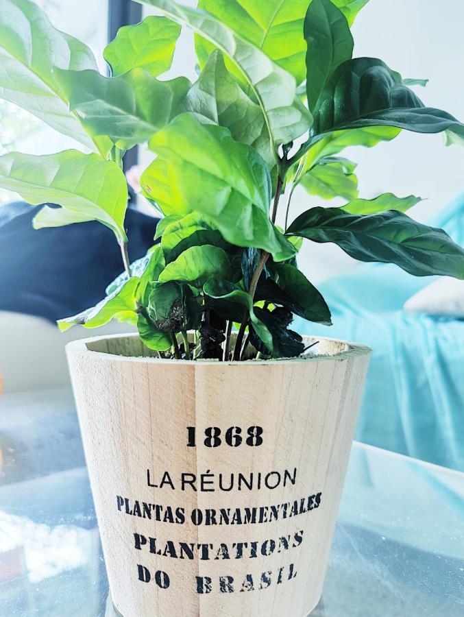 Apartamento Garden Flat In *